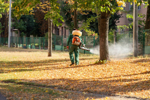 Professional Pest Control in Odessa, MO